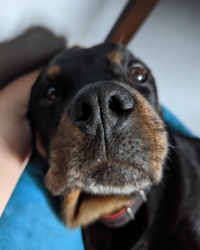 4c0e59d0-e213-4033-9a34-e284d342ff24