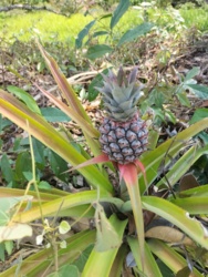 f17e2c14-ec94-4d12-8bd2-696808b49666