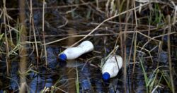 Paracetamol, kofeina, leki na cukrzycę. Zanieczyszczone rzeki zagrożeniem dla świata