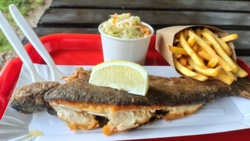 50101c00-cb3f-4d8c-9e8f-6a99464e9a6e