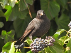 5f9edd9c-b536-454e-859b-554eddcde1f1