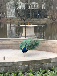 9e499dd7-45ec-46bd-b6ad-14b1fa28a982