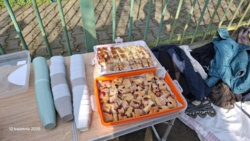 61c53106-d1d5-4944-9b8c-e80a0cc88d81