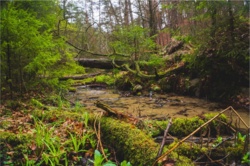 b1003d17-67cc-4104-af77-28f467d2441a