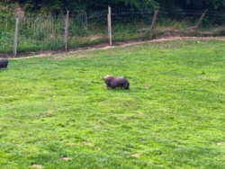 1f7bae1b-8225-4b5d-b839-379fe92bc8f0