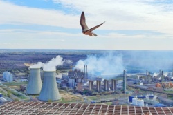 8725e562-2491-4cd1-9e1f-bdf1eaae5c13