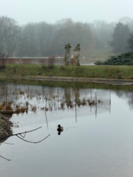 870d4c0f-f7d6-4d3c-a5ea-11a4d28c2244