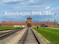 Od 1 marca 2026 do Auschwitz tylko z rezerwacją online. Możesz przyjechać i… nie wejść
