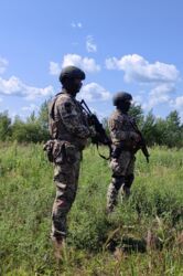 20a4d301-c755-4626-a837-18b9a9571a3c