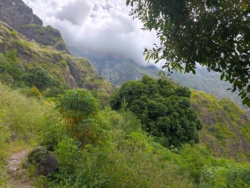 2a60ae9e-12b2-408e-8ebd-2cc8e92ac7b9