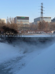 24b9b0ce-edfa-4d22-8890-51c3bc505089