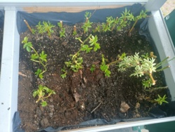 1247d1bc-b35e-414e-9d6c-35710b8d8891