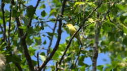 773732d4-8448-4c87-b2e2-0cba01c72113