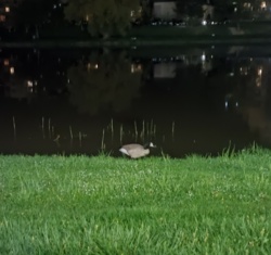 376f6049-df9d-4bac-bc5e-1b77b0782cad