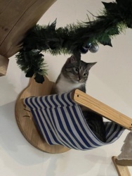 58bc5db5-9f36-4bbf-97ba-450a950efbfe