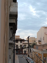 2eff0d42-15f0-4b2c-b2b9-0dae43a3452f