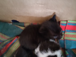 7d1eab9a-7f90-41ea-8df6-70df8c03435a