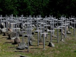 Krzysztof Ruchniewicz: obława augustowska to największa tragedia w tej części Europy przed Buczą