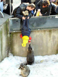 31c9ef45-b871-4789-be2f-80e764e53781