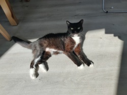 446f6db5-aafe-4826-9aef-fb7f3239b1fa