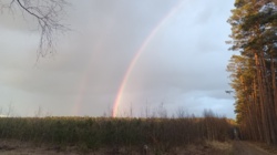 dc49a643-f114-4631-b6ca-2844153e3f0c