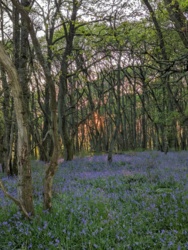 8582f04e-7450-44e6-96c2-d5c0990dec01