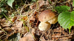 05022804-b6ca-4d6b-a414-2e48e9b66066