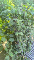 a863390f-6d08-4a96-84e2-0f1d69b652f2