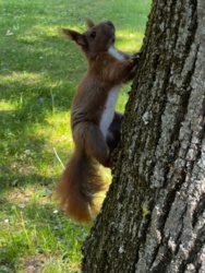 25b7be63-2663-479f-a456-cc76240e5349