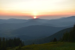 2156ae0d-1eb2-45da-b1a5-2e179f5f76c8