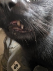 93905c0f-959e-425d-bc8d-971426dd814f