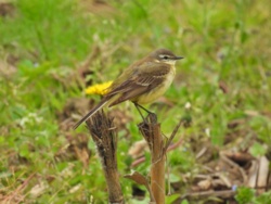 db270d13-f3ee-40a9-87e2-8b4962665fa3