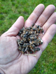 be6dcb58-f7cb-45a9-a13a-a8b872983548