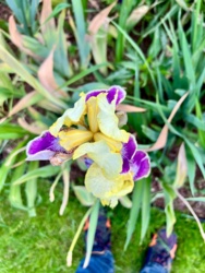 21e97ec5-1419-42e8-9408-e4159df798ca