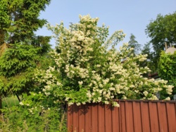 22bb1c78-2e27-47f7-a9a3-be793305539e