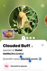 b952d27f-355b-4faf-90d3-a938596fc0c6