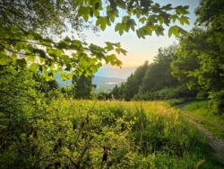 22511c68-f0ff-43a5-a288-c10a6638e463