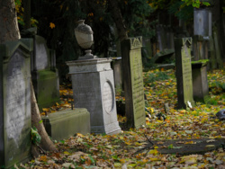 21933894-15c2-40ad-ad72-d908fd720c91