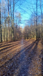 4522794d-e814-40ad-a383-6bf95fb49aca