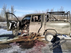 8fedf374-d6a0-4a31-8f70-970991b9f601