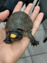 398ca8da-6773-4c96-a37a-dfafd70e06e0