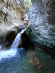 bc51dc72-4060-4fc2-992b-9a1d0ae6357d