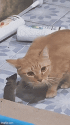 5bdc7c34-8fe6-4878-8462-184ee39e8389