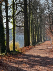 0515732c-ff45-49d7-a40e-81f177067617