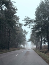 cbad8171-cfbb-467f-97a9-f91e367dafc5