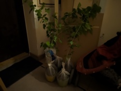 3767348d-5a48-4f70-a0be-cf7a6207e21b