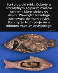 0e80662b-bce6-4dd8-a7fa-67d40c22af3b