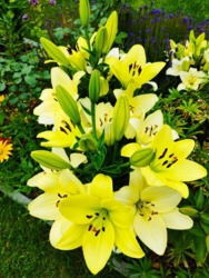 8d124830-bd3c-42c3-bb1c-6543f4826f4c