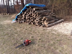 a17a16bc-9552-4862-81b5-117d81c9b58f