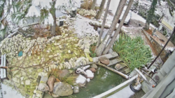 a012c923-2a63-4476-bbde-1b2e2a2e0c54